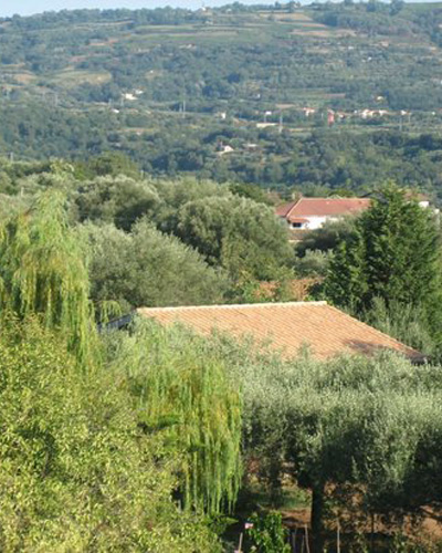 esterno agriturismo il Vigneto